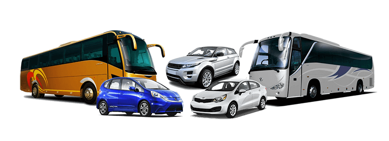 Car and Bus Booking